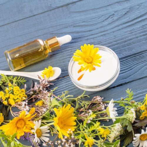 natural cosmetics from herbal ingredients on blue background