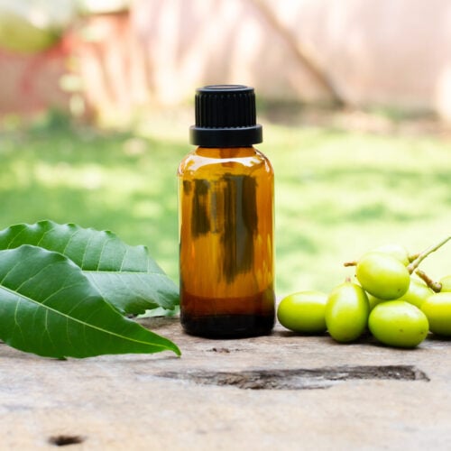 Neem oil in glass bottle with neem fruit and green leaf on wooden and blur background on sunny day.