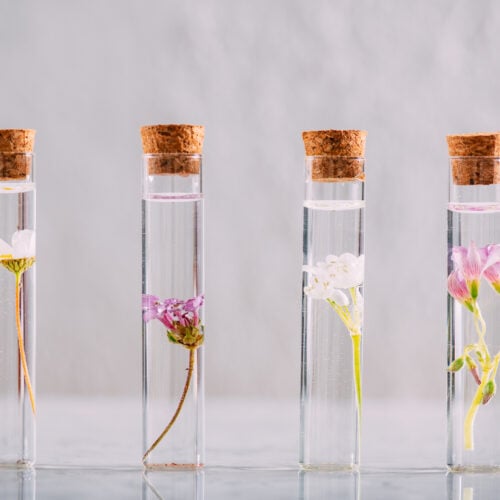 Essential Oils